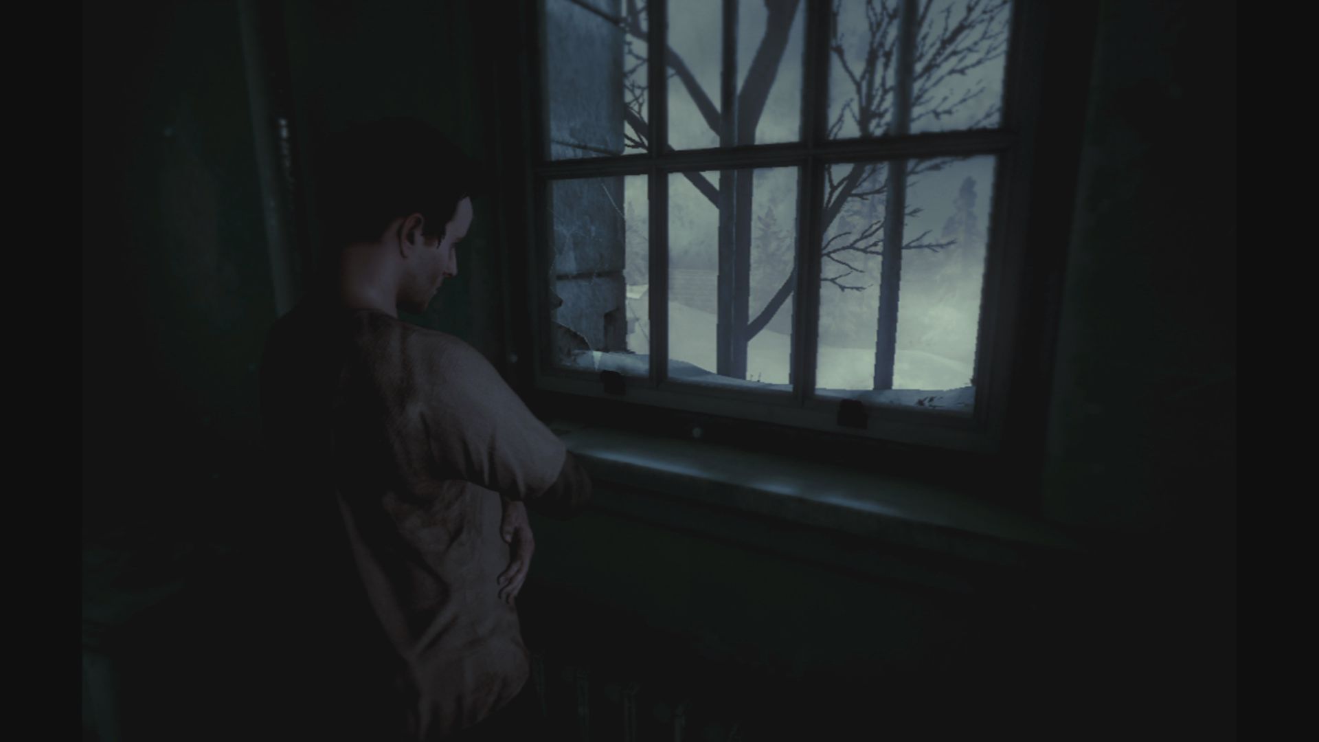 The Inpatient